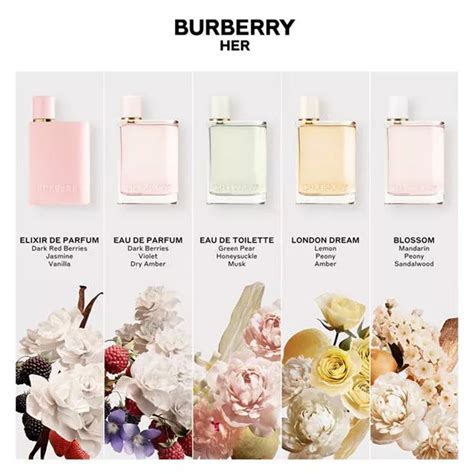 burberry london perfume smells like|Burberry London for women notes.